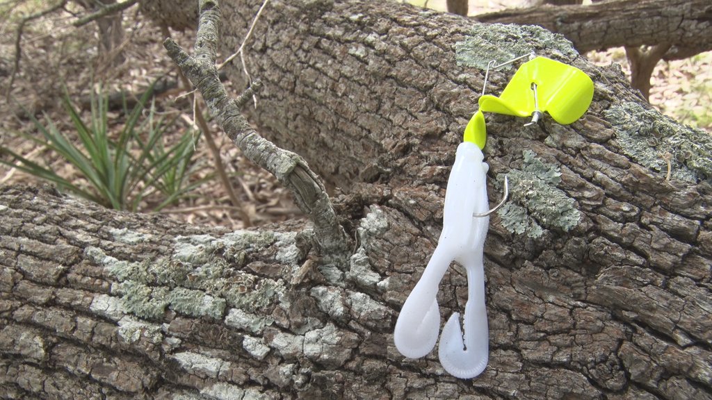 FishHandbook's tweet photo. Frog + Buzzbait = Ultimate Topwater Lure

@BigBiteBaits 

#BigBiteBaits #SoftPlastics #TourToadBuzz #Fishing #BassFishing #Baits #Lures https://t.co/yWHQ0TkpEl