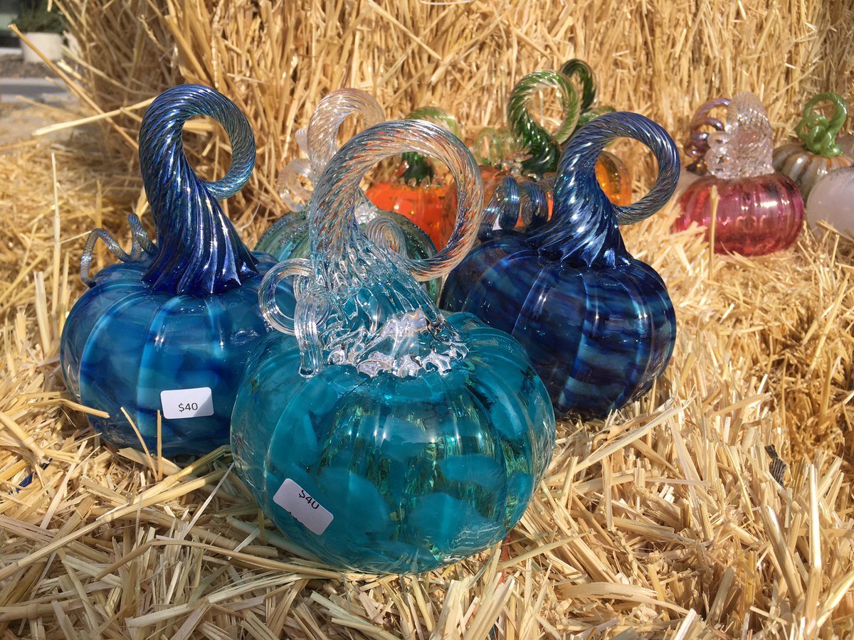 Annual glass pumpkin 🎃 patch, numerous styles, sizes and prices available! Make great gifts. #pumpkin #pumpkinfestival #fall #autumn #rinoart #denverart #artglass #handmade #glassart #glasspumpkin