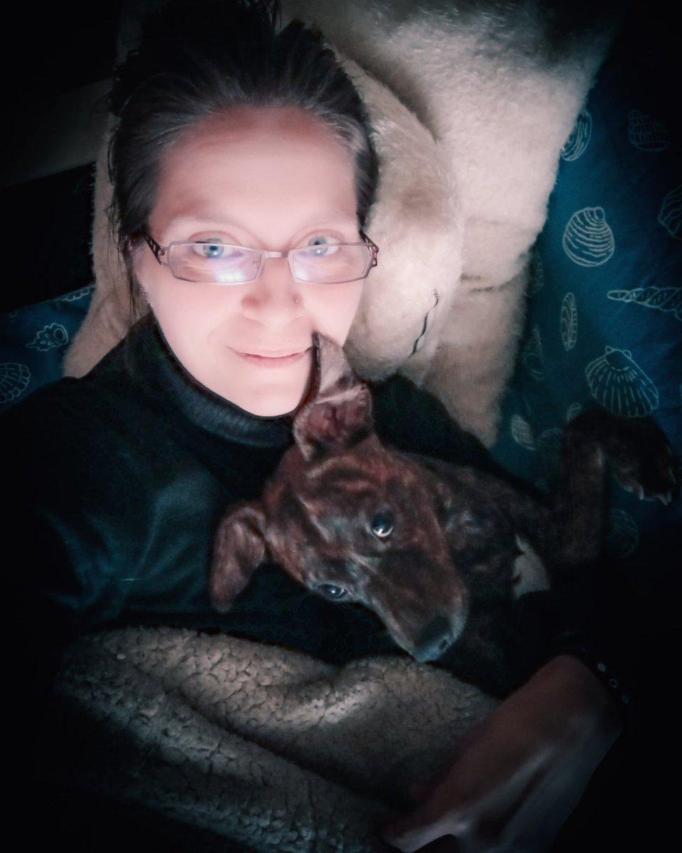 AlisaKmd's tweet photo. Good support unit for a migraine attac...cuz he protec ❤ #heprotec #puppy #migraine https://t.co/nyUnQRvLvA