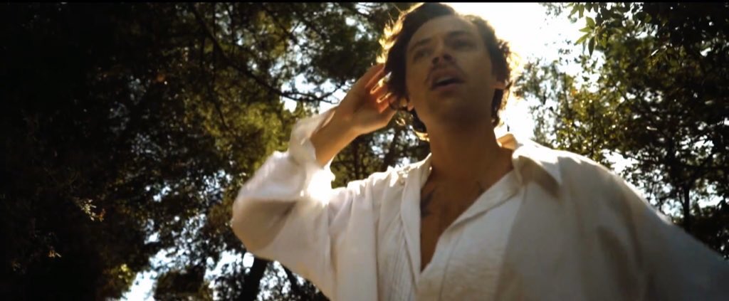 SAGITTARIUS - in the sun under the trees