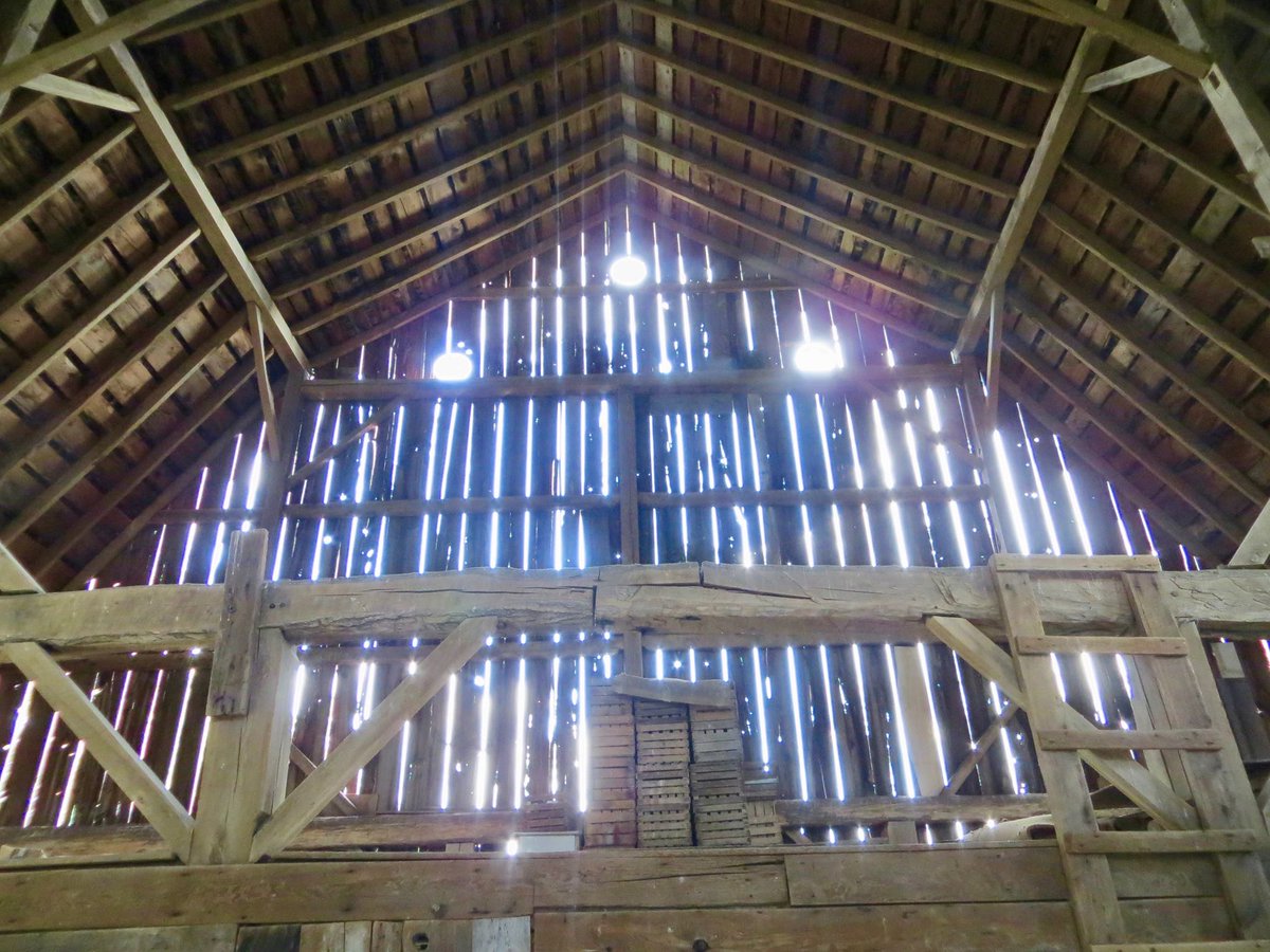 For those who know about curing and laying up hay, this is why you should never store sweet clover hay until the moisture is down below 15% - 10% is better, to be safe. (This is the hayloft of my in-law's barn, which once contained such hay.)/13