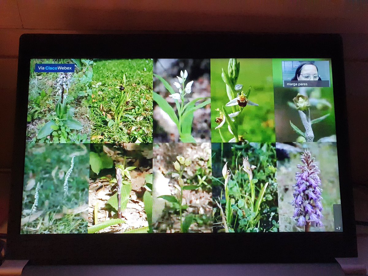 DachaAtienza's tweet photo. Presentació de l'Atles de Biodiversitat de Barcelona @museuciencies @BCN_Ecologia @margapares1 #BioBlitzBcn https://t.co/jloO0mZn0F