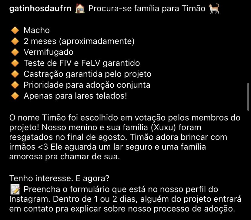 Gatinhos da UFRN (@gatinhosdaufrn) / Twitter Gatinhos da UFRN (@gatinhosdaufrn) / Twitter