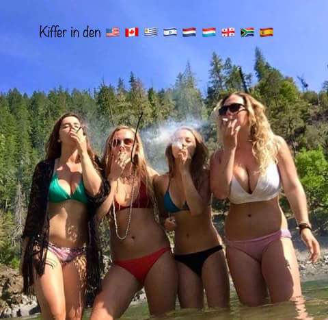 OrangeUtane's tweet image. Finde den Fehler #LegalizeIt #Cannabis #LetsGetSerious