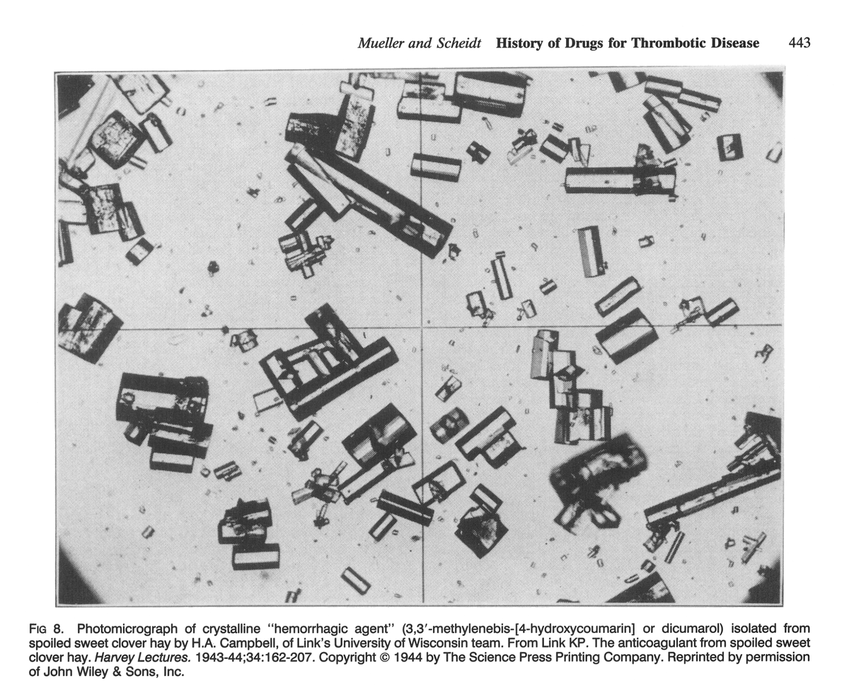 Anyway, Link realized that having a blood thinner could be useful medically, so he started to work on synthesizing analogues, and found that 4-hydroxycoumarin (patented in 1945) was 500 times more potent in prolonging prothrombin time than dicoumarol./16