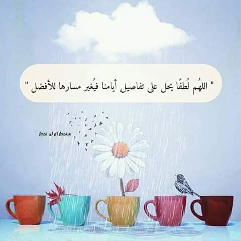 hadeel_bio's tweet photo. #حق_العلوم_بالاقتراض
يارب 🙏 https://t.co/nZ0sEPxaEb