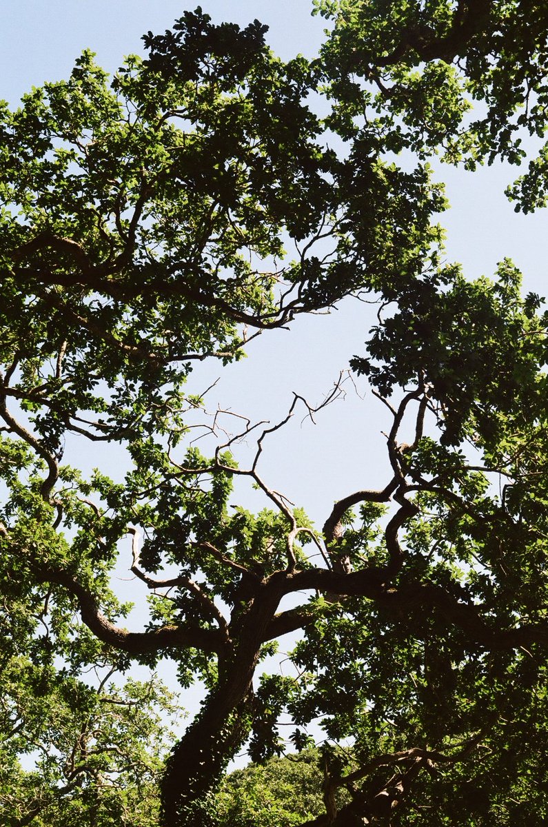 once you start looking up and shooting the sky, there's really no going back...