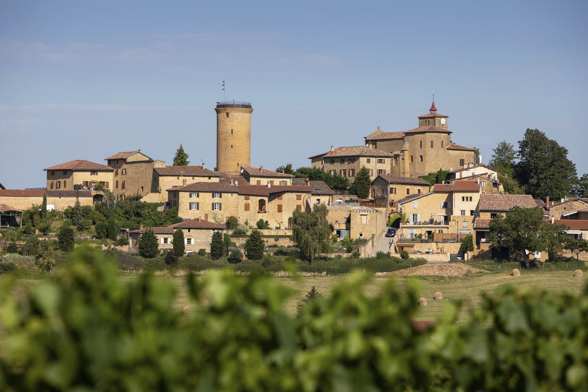 Beaujolais Wines UK tweet media
