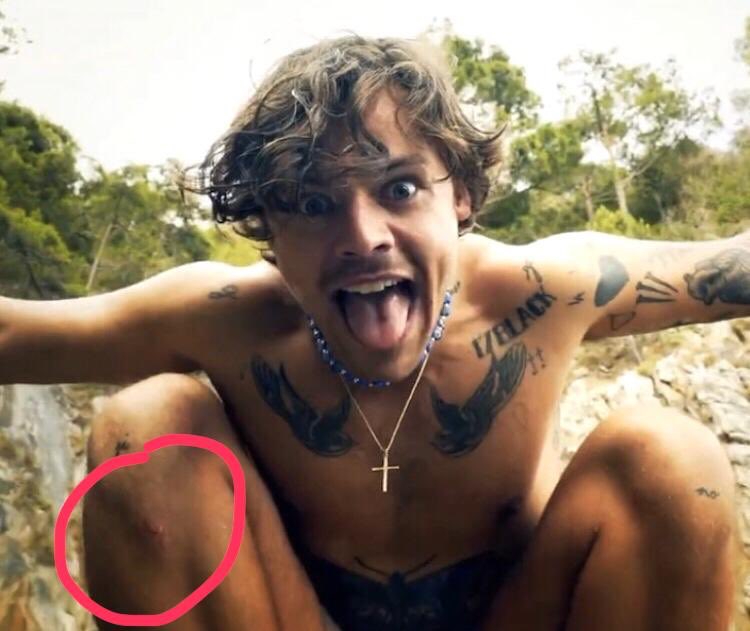 LulaGranata's tweet photo. you fell on the rocks right? @Harry_Styles https://t.co/hcIbt5V7ik