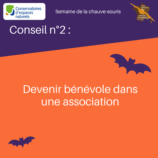 🦇[CHIROPTÈRES] Cette semaine c'est la #BatWeek2020 Découvrez chaque jour sur notre page Facebook un conseil pour agir en faveur des chauves-souris. Suivez les conseils <a href="/CenCentreLoire/">Cen Centre-Val Loire</a> pour réaliser 1 gîte bit.ly/3kmQo0o ou devenez bénévole bit.ly/31KRoE5