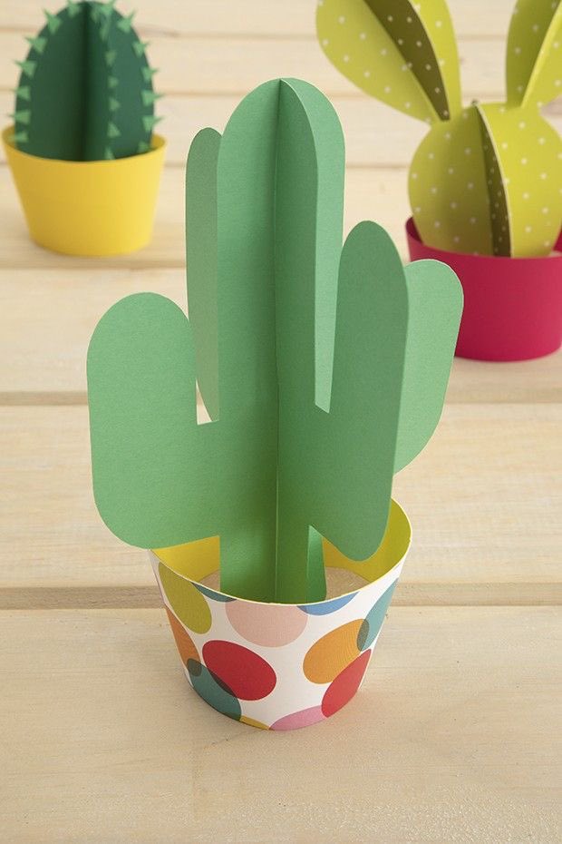 buscantidees's tweet photo. #cactusdiyideas DECORACIÓ #reciclatege #catro @buscant_idees @buscantidees https://t.co/k1sy9bKk1F