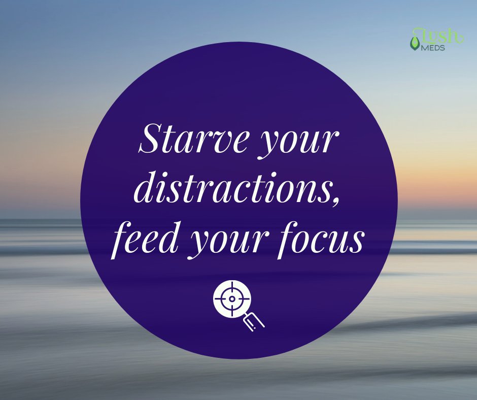 LushMeds's tweet photo. Monday vibes...anyone else feeling distracted today?

🙋‍♂️🙋‍♀️Take CBD for focus.

#focus #cbd #lushmeds #smallbusiness #buycbdonline #shopcbd #whatailsyou #monday #mondayvibes #distracted #anxiety #feelbetter #zen #healthylifestyle #getagrip #favoritecbd #nothc https://t.co/tQxSJu0bHX