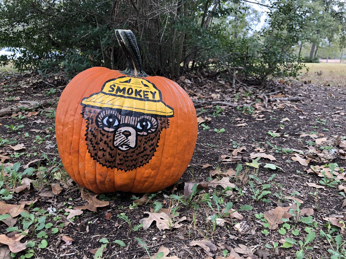 TXForestService's tweet image. Happy #NationalPumpkinDay! 🎃🐻