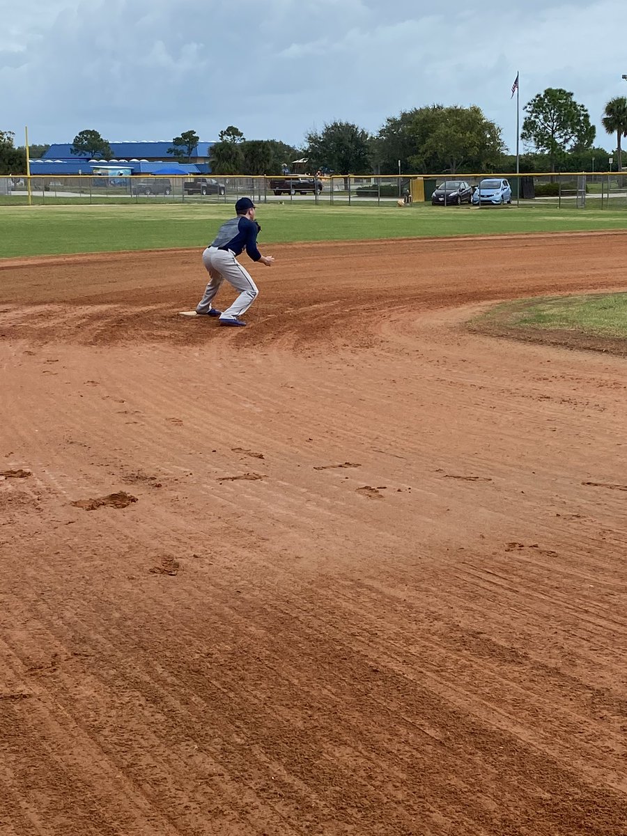 South Florida Bullsharks tweet media