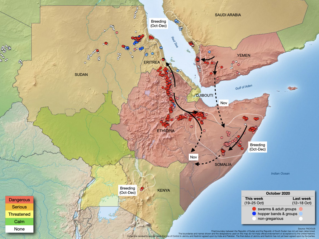 The #DesertLocust situation remains very critical as more swarms form &amp; a new generation of breeding has now started in Ethiopia &amp; Somalia, which will cause new swarms to form by mid-December that are likely to move southwards &amp; threaten Kenya.

Latest 👉🏾bit.ly/34AntyO