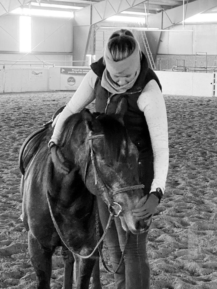PMontanye's tweet photo. A few pictures from Gryffs first week of bootcamp! He’s a sound and happy boy! #ItTakesanArmy #IfThoseLegsCouldTalk  @DernKaty @HoganEquine @LuisCastroDVM @LegacyHorseCO https://t.co/Y2mhB9UX6G
