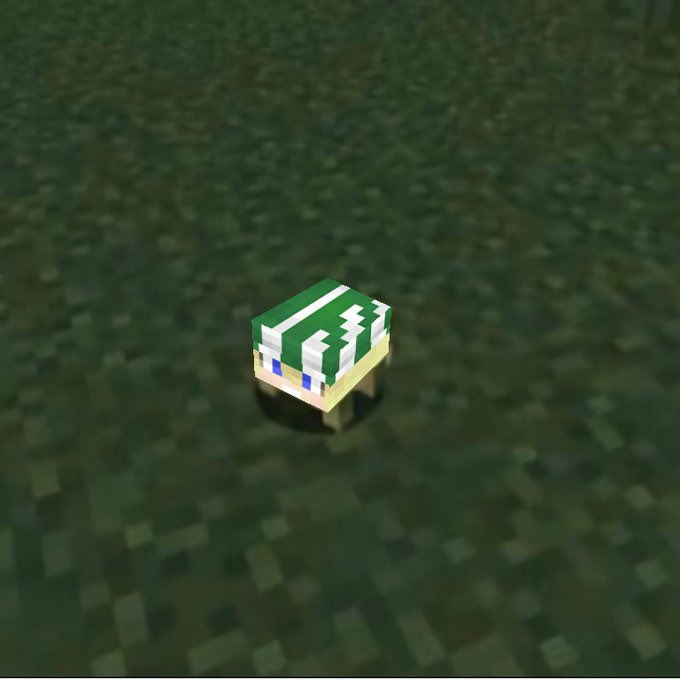 philza minecraft