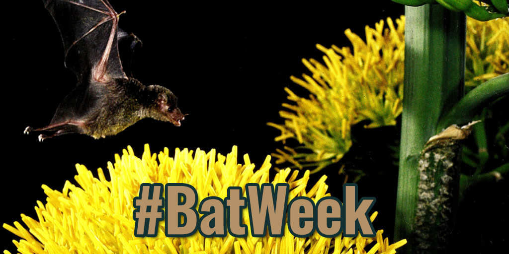 Discover Our Parks tweet media