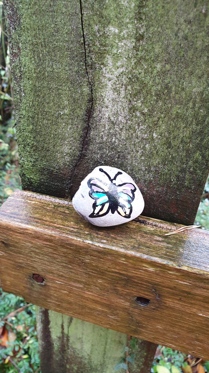 Cuckooqueen's tweet photo. Once again its a wet #walk but where did I leave my #butterfly ? #purplerocks #Torfaenrocks #pcam2020 #wpcd20 #pancreaticcancerawareness @PancreaticCanUK https://t.co/LZMoqdobZ1