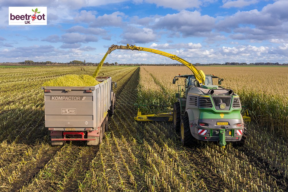 Last weekend we made a start on our 2020 maize harvest.   
#britishfarming #maizeharvest #harvest2020