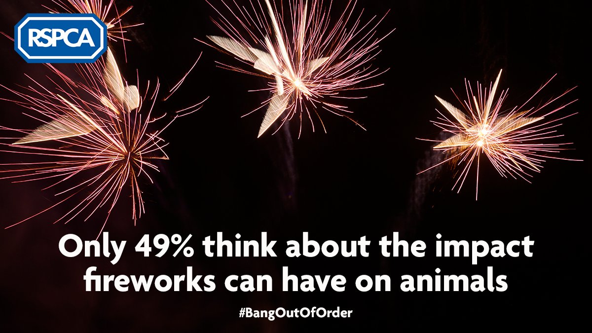 🎆 🐾 Not everybody thinks about the impact fireworks can have on our pets, so may organise private displays without telling people nearby. We want tighter restrictions around fireworks so we can protect animals. Join our #BangOutOfOrder campaign: bit.ly/2qvVvUK
