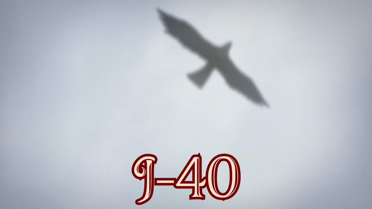 AttaqueTitansFR's tweet photo. J-40 https://t.co/mE8AADFjV8