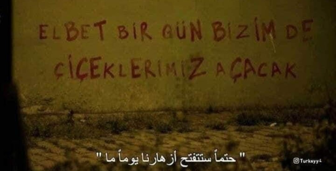 BasmalaDohen's tweet photo. #çukur100 #Mısırdaki_çukur ❤️ https://t.co/79WLdapCVt