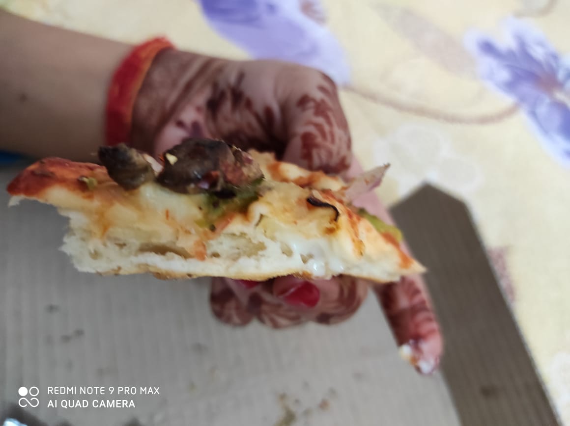 BhuvneshPant's tweet photo. @dominos This is the second time I got this worst experience from your dominos ashok vihar outlet despite of paying extra 100 rs for extra cheese i didn't get that and with this i got my pizza late.
Sorry to say but this is total waste of money if you order pizza from #Dominoz https://t.co/VX2vH2flcl