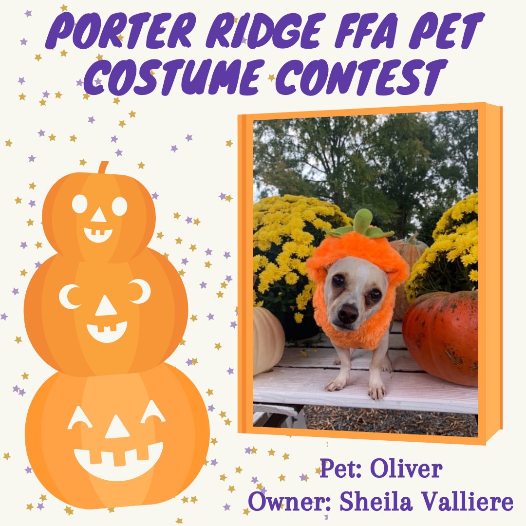 PorterRidgeFFA's tweet photo. It’s time to start counting down to Halloween with our Pet Costume Contest submissions!! Check out these adorable pets in their costumes!! 🎃👻🧡 Stay tuned for more pictures this week!! @PorterRidgeHSNC @PRHSCareer https://t.co/9mxIkFsJDh