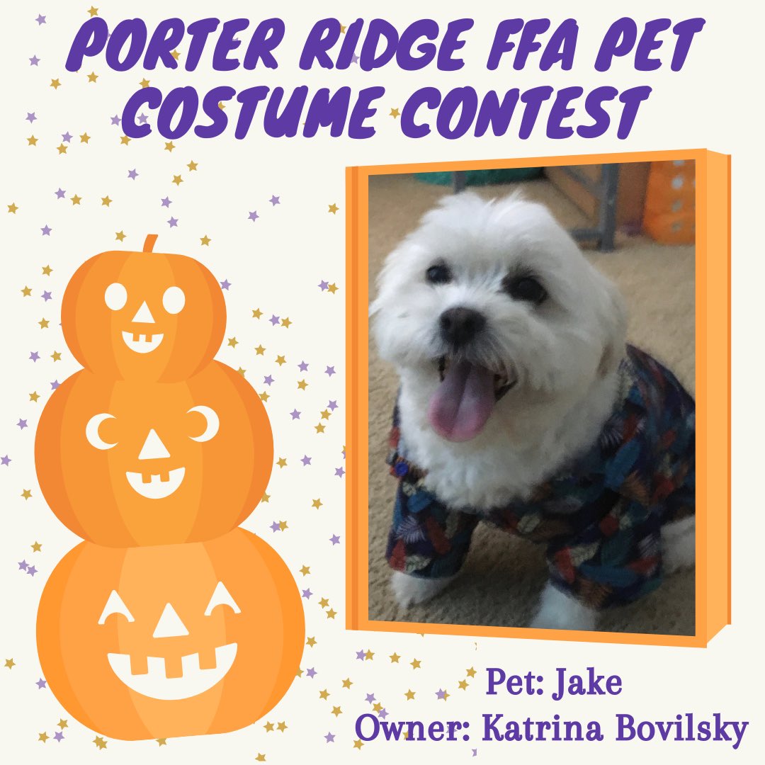 PorterRidgeFFA's tweet photo. It’s time to start counting down to Halloween with our Pet Costume Contest submissions!! Check out these adorable pets in their costumes!! 🎃👻🧡 Stay tuned for more pictures this week!! @PorterRidgeHSNC @PRHSCareer https://t.co/9mxIkFsJDh