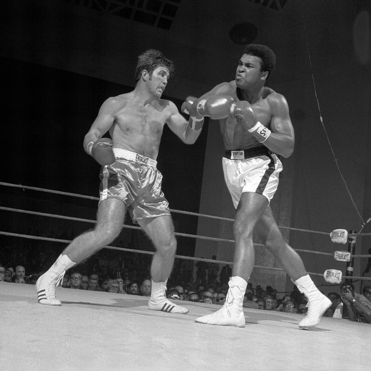 MuhammadAli tweet picture