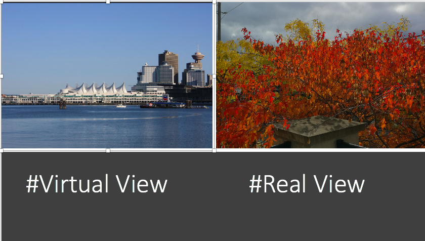msstaceyerin's tweet photo. Let's play. My #VirtualView and my #RealView. How about you? #TMM2020 @StemCellNetwork https://t.co/mxJd5K9D2V
