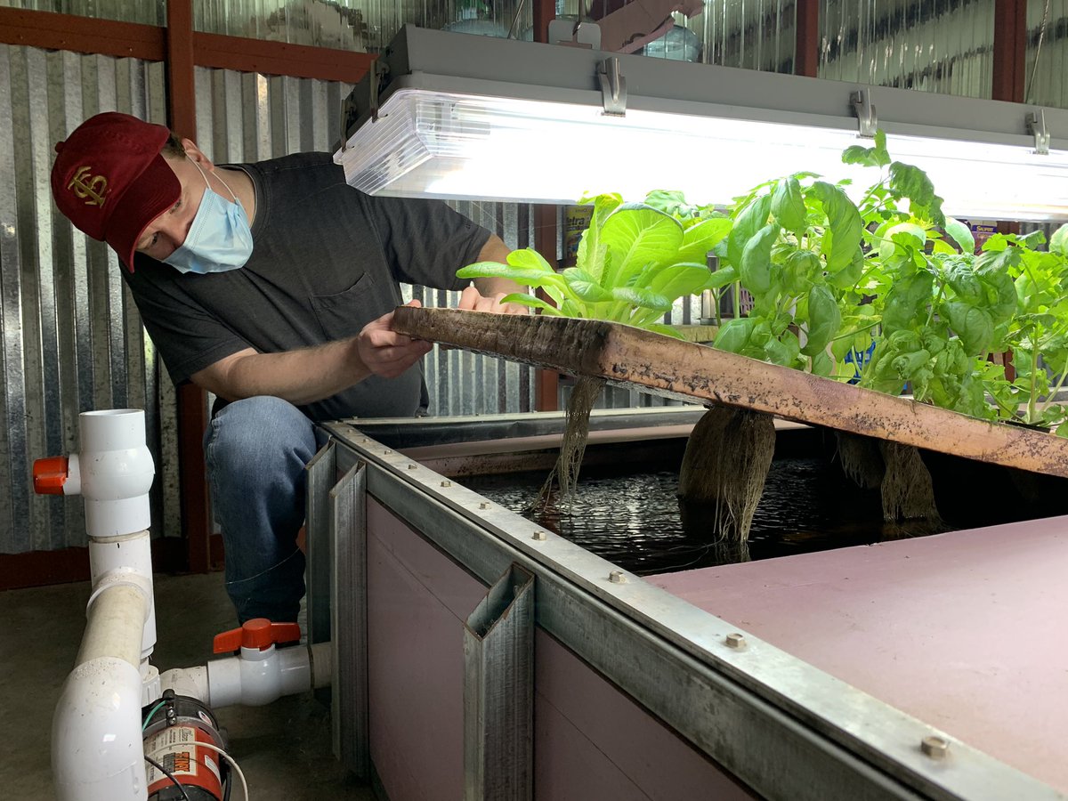 hope_cen's tweet photo. #aquaculture #aquaponic https://t.co/UDkMAD2Jh3