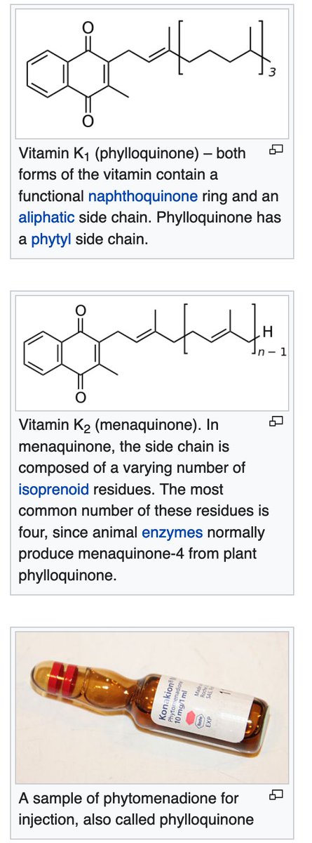 Dam's "Koagulation" factor became known as "Vitamin K" - though it is not an amine, so really a "vitamer." The primary source of vitamin K is leafy greans, which use vitamin K for photosynthesis. Bacteria also synthesize vitamin K, including those that live in our gut./23