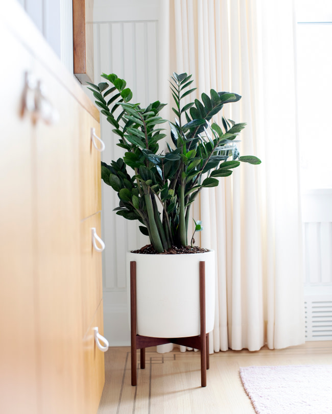 🍁 Orange leaves outside, all green inside 🌿
#purejoyresidence #vancouverinteriordesign #yvr
📸 @pineconecamp
Design @purebyamimckay
Construction https://t.co/4zbtPLMt0u
As featured in @styleathome https://t.co/1x2UB1CP9N
