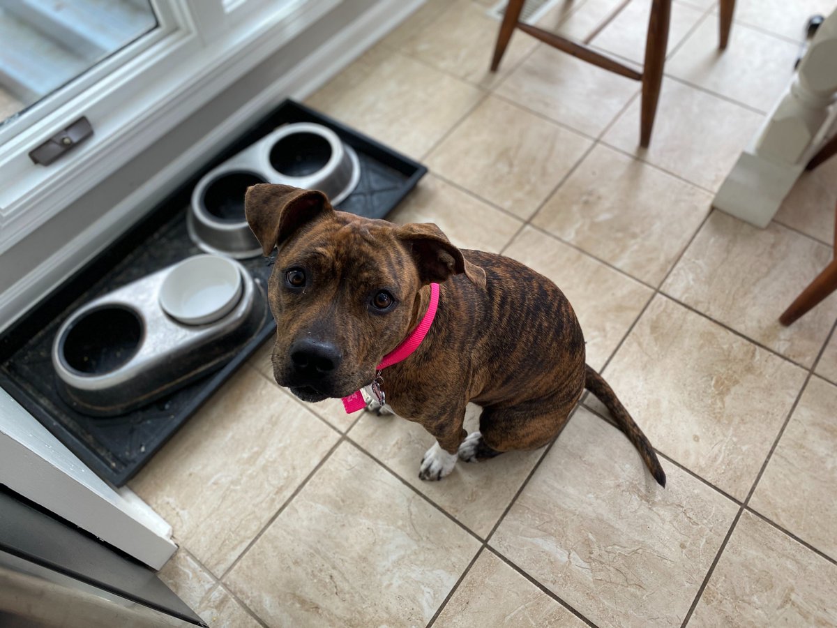 Arthur Kay tweet media