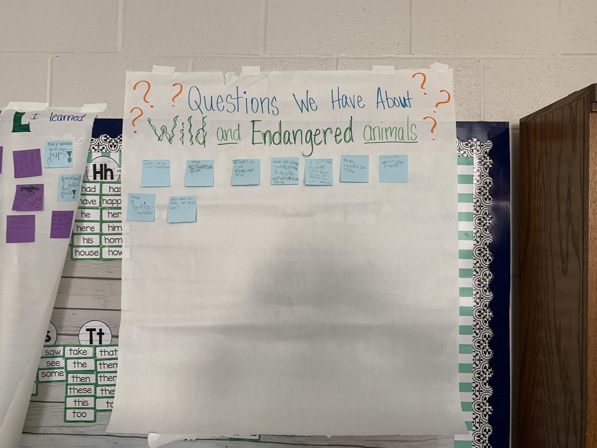 TeachEdwards08's tweet photo. 1st grade @SawneeElem is wild about their new unit rollout @AmericanReading @ARCspiration @SusanMcKenna14 https://t.co/MVPttiQTaK