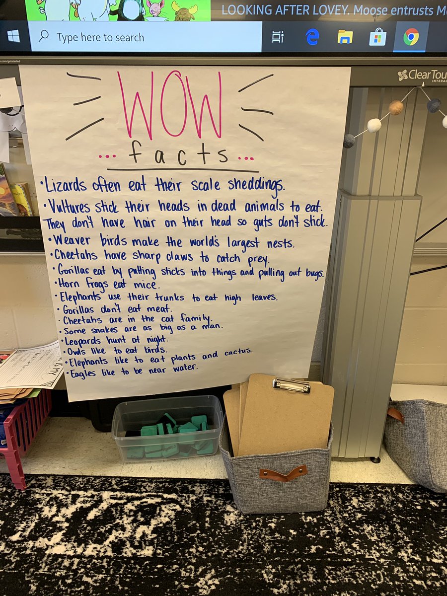 TeachEdwards08's tweet photo. 1st grade @SawneeElem is wild about their new unit rollout @AmericanReading @ARCspiration @SusanMcKenna14 https://t.co/MVPttiQTaK