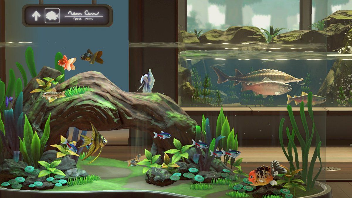 Penn_Writes's tweet photo. Been doing some much needed maintenance around the island and stopped in the museum. Your girl needs a real aquarium #AnimalCrossing #ACNH https://t.co/dMPbmSXEe0