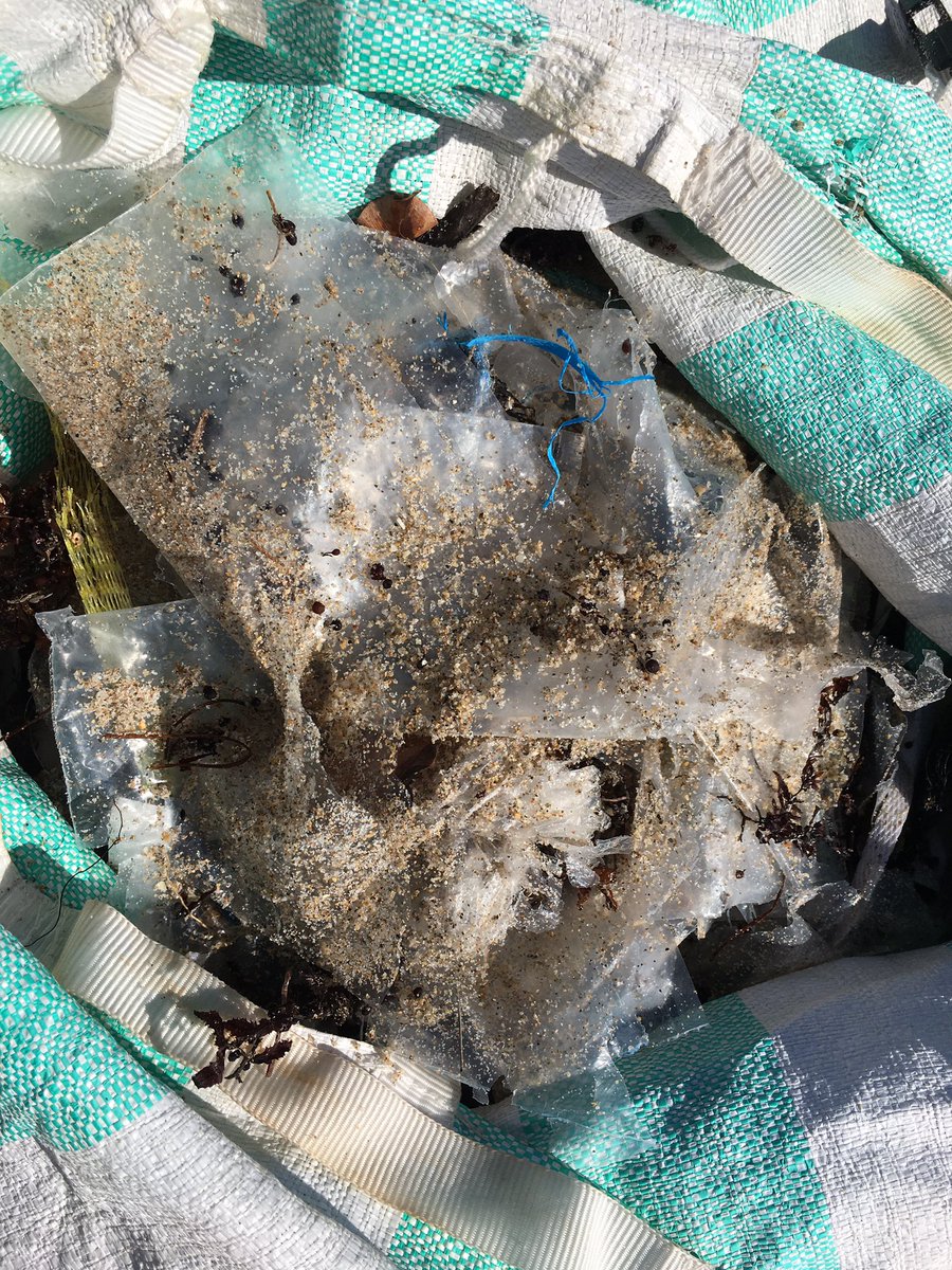 FriendsofPB_'s tweet photo. After a whole week of constant rain, we started this Monday with 140lbs of trash. Our top items were plastic bottles, bags and roughly 300 pouches. 🥴
#beachcleanup #plasticpollution #plasticbottles #plasticbags #plasticpouch #palmbeach https://t.co/t9XsiWAzc6
