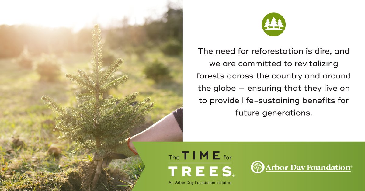 arborday's tweet image. The #TimeForTrees is about future generations.

timefortrees.org