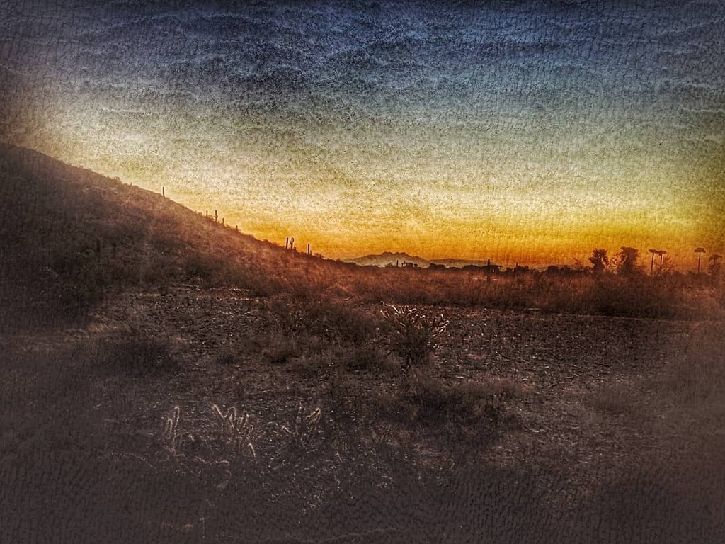cameradoll's tweet photo. It actually feels like #fall today :) 
Yay for #arizona summer finally being over! https://t.co/D8xa9wY1gO https://t.co/Mblam3kZt1