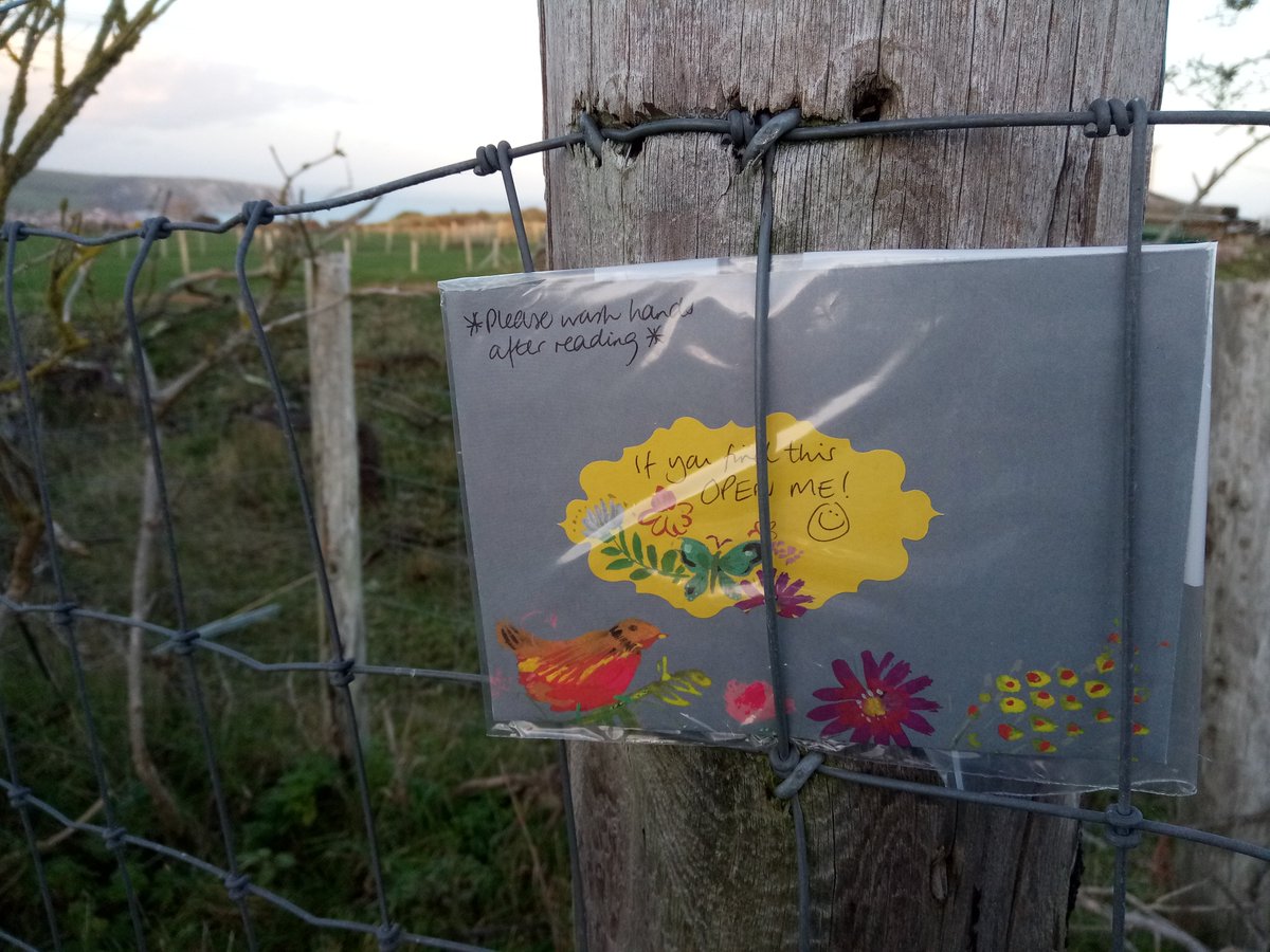 letterappsoc's tweet photo. Hope someone finds them! (Not our new friend though!) #randomletters 😊🔎✉️🐐❤️ https://t.co/zkbquC7bil