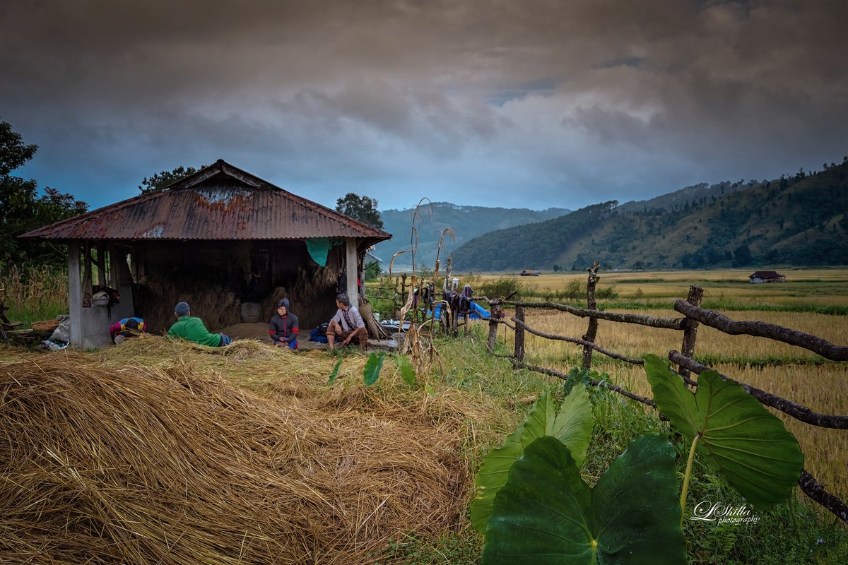 ShillaLeeno's tweet photo. #the barn #jowai #harvesting #countrylife #explorecountryside #whowould like to spend the night there #i did https://t.co/VMOC0Ubqz6