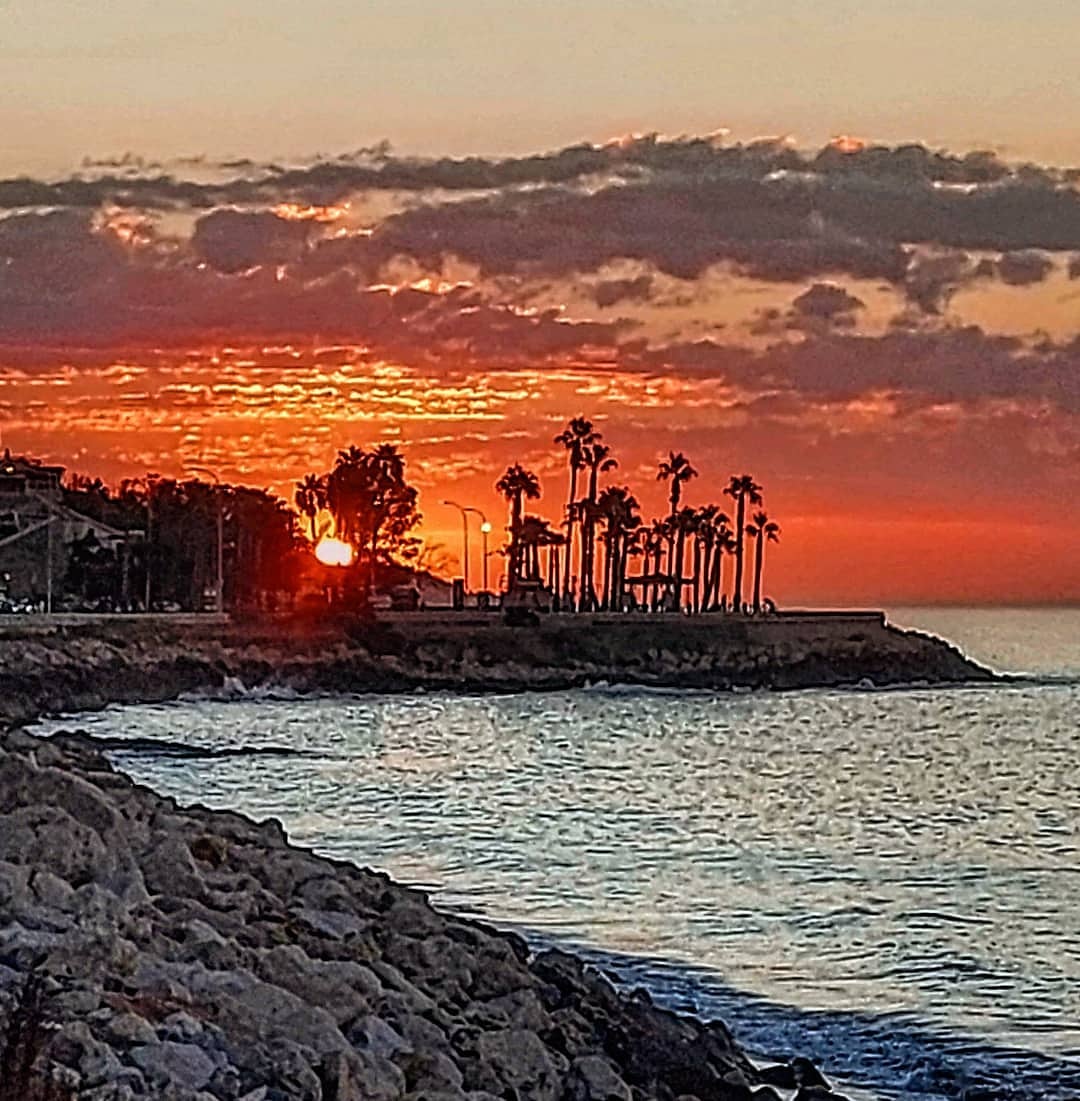📍#Málaga 
#malagademisamores 💜💚💐💜💚
📸 @juanfran_moon 👌💜💚
#Málaga #costadelsol #andalucía #spain