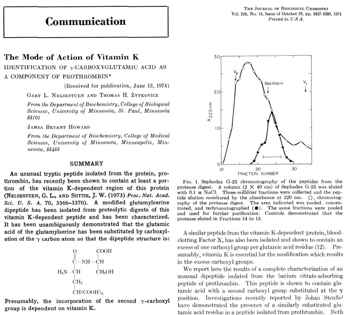 4-hydroxycoumarin (warfarin) and similar drugs are competitive inhibitors of vitamin K epoxide reductase, an enzyme that recycles vitamin K and allows it to continue oxidizing. This was first discovered by 2 groups in 1974./39