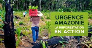 LAUDATO SI’ « Dans certains pays, il y a des exemples positifs de réussites dans les améliorations de l’environnement tels que l’assainissement de certaines rivières polluées durant de nombreuses décennies ou la récupération de forêts autochtones ou l’embellissement des paysages