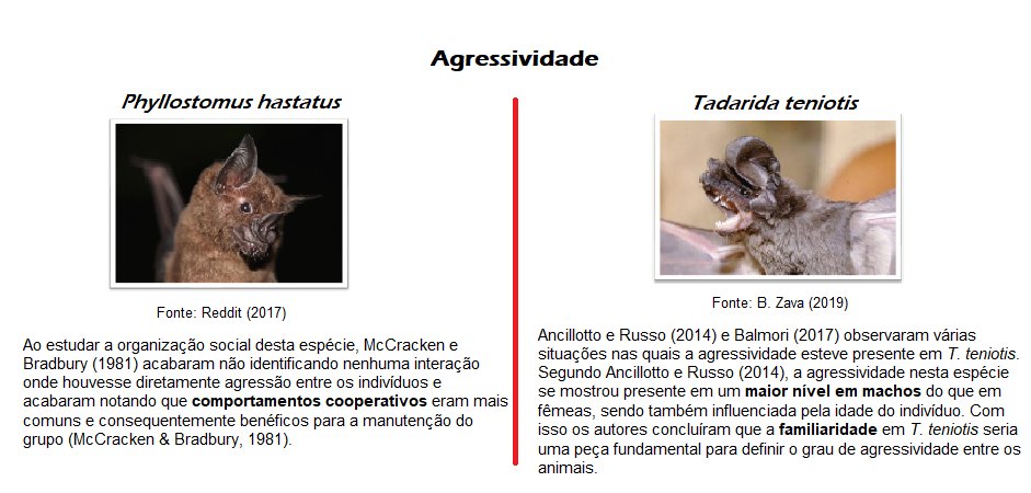 LuchesiRhoxanne's tweet photo. 4 #CMBT1 #EvoCom Dentre os artigos analisados, quatro principais comportamentos foram utilizados para a categorização: #formaçãodeharéns, #agressividade, #territorialidade e #dominância. Nas imagens abaixo são mostradas a identificação dos comportamentos por diferentes autores. https://t.co/djdrQYoP9G