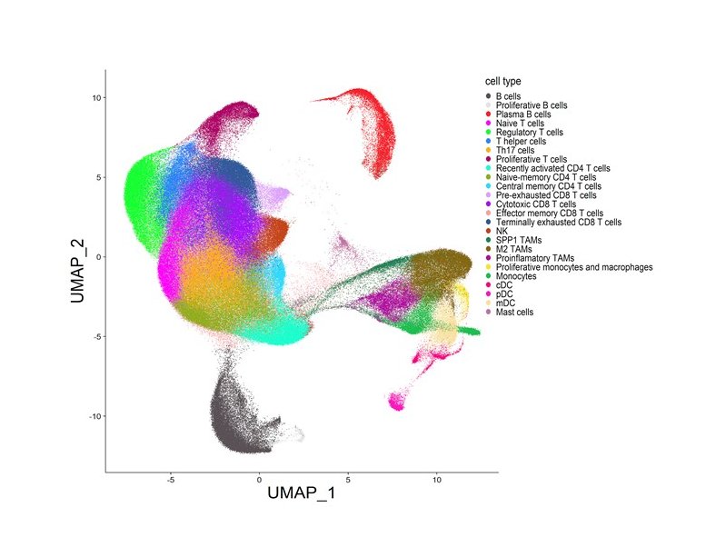 hoheyn's tweet photo. OUT NOW! 

I am absolutely delighted to share our "Single-Cell Tumor Immune Atlas for Precision Oncology".
 
We present a #singlecell immune atlas: >500k cells, 217 patients,13 cancer types for 1) Patient stratification 2) Annotation 3) Spatial mapping. 

https://t.co/Cps9OY6QuH https://t.co/XAmHtpZsOl