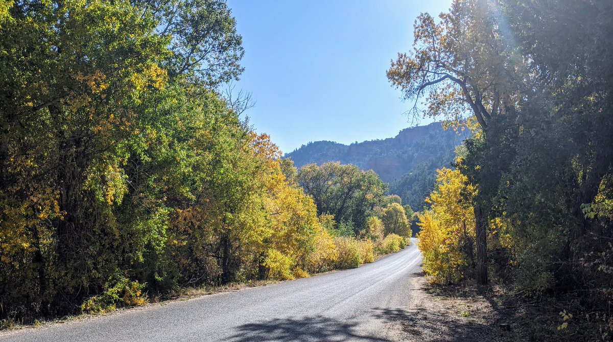 Fall in Utah is always a great time! Gear up for that fall color drive with fuel and snacks from one of our local #RallyStop locations ⛽🍂